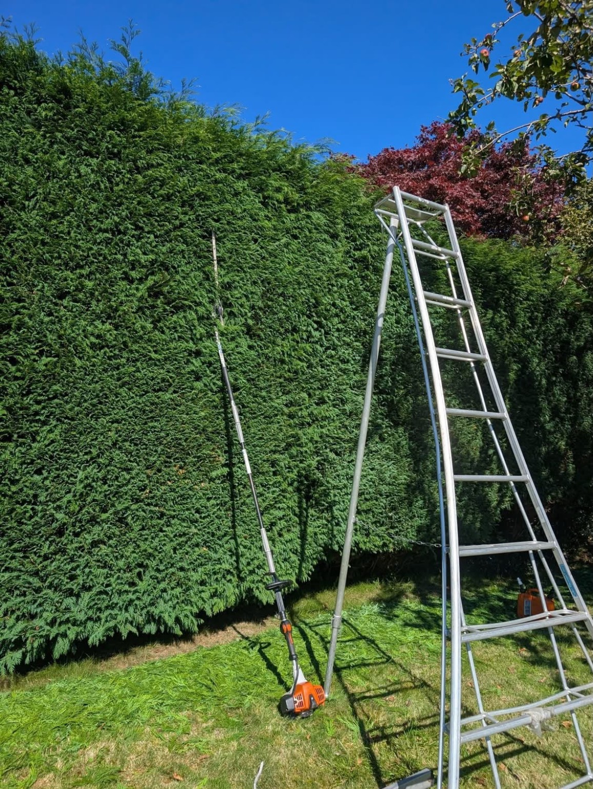 Countrywide hedge cutting work