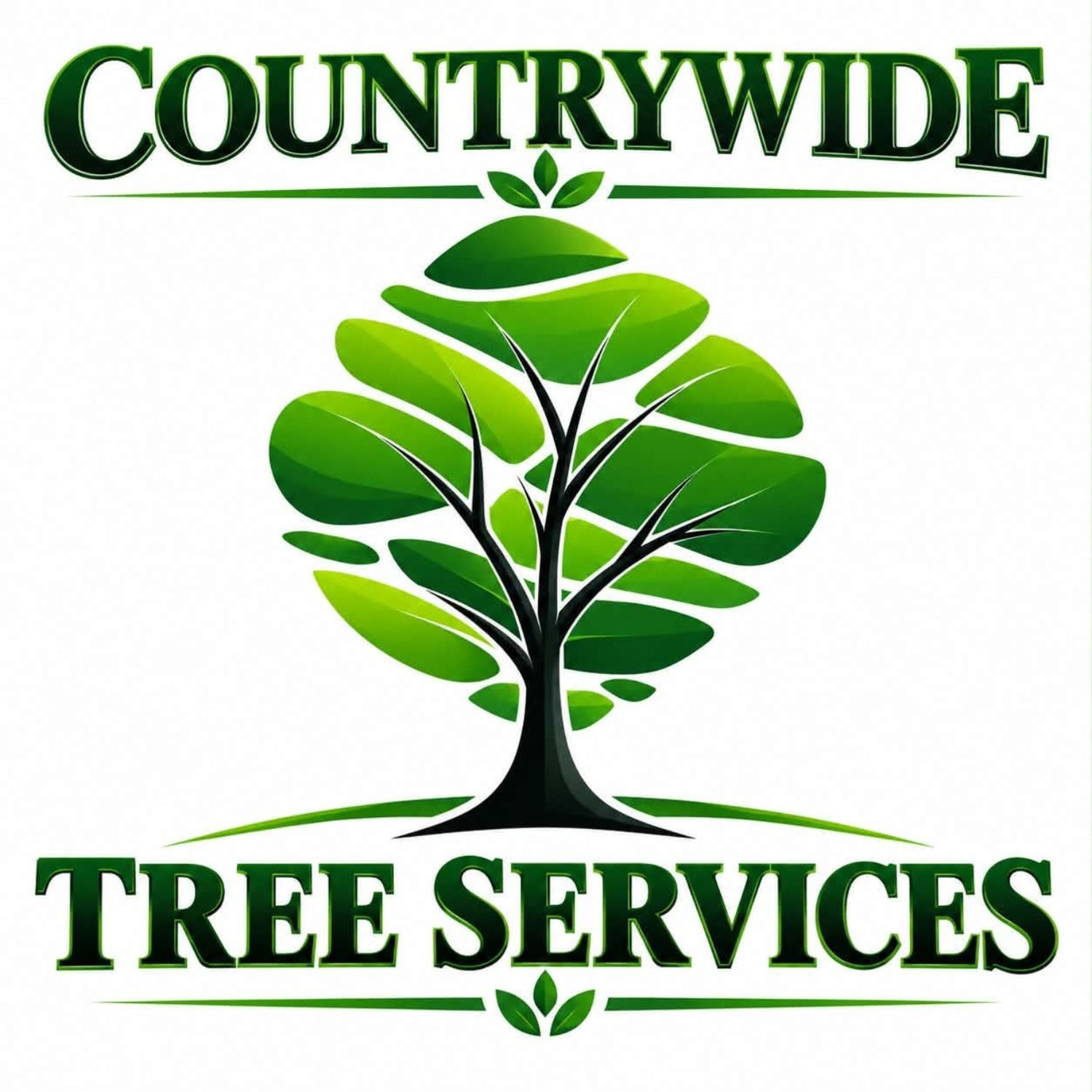 Countrywide logo